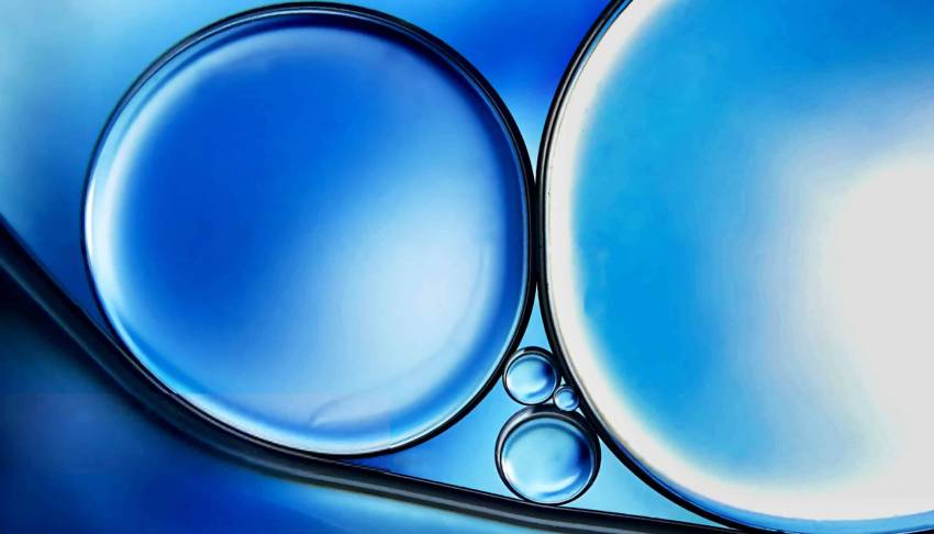 鼎湖区包装设计